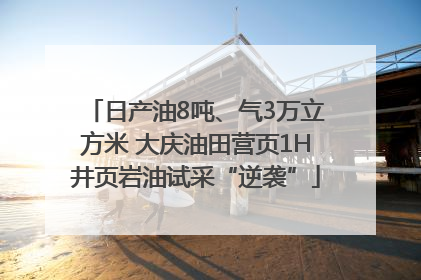 日产油8吨、气3万立方米 大庆油田营页1H井页岩油试采“逆袭”