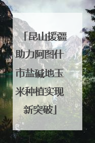 昆山援疆助力阿图什市盐碱地玉米种植实现新突破