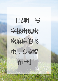 昆明一写字楼出现密密麻麻的飞虫，专家提醒→