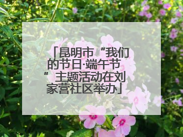 昆明市“我们的节日·端午节”主题活动在刘家营社区举办