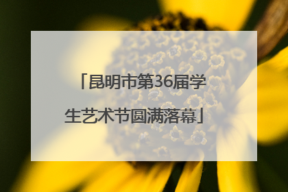 昆明市第36届学生艺术节圆满落幕