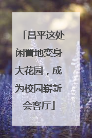 昌平这处闲置地变身大花园，成为校园崭新会客厅