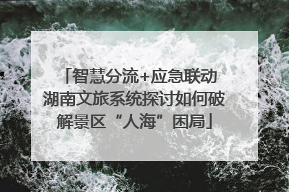 智慧分流+应急联动 湖南文旅系统探讨如何破解景区“人海”困局