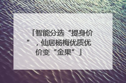 智能分选“提身价”，仙居杨梅优质优价变“金果”