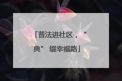 普法进社区，“典” 缀幸福路
