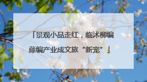 景观小品走红，临沭柳编藤编产业成文旅“新宠”