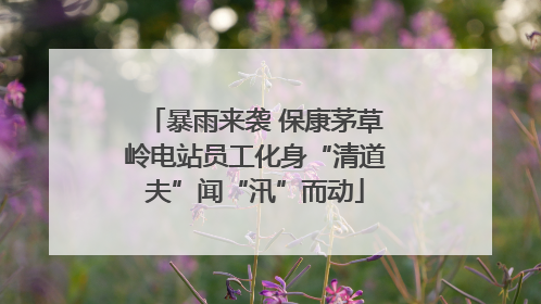 暴雨来袭 保康茅草岭电站员工化身“清道夫”闻“汛”而动