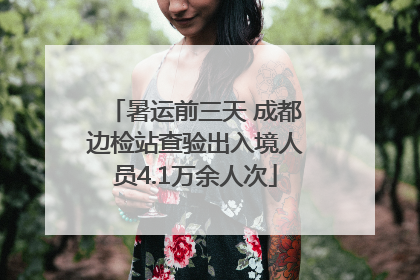 暑运前三天 成都边检站查验出入境人员4.1万余人次