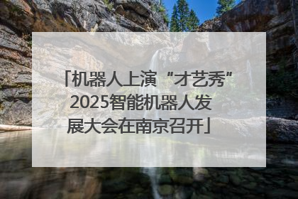 机器人上演“才艺秀” 2025智能机器人发展大会在南京召开