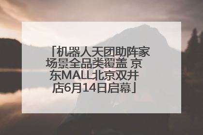 机器人天团助阵家场景全品类覆盖 京东MALL北京双井店6月14日启幕