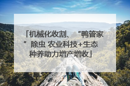 机械化收割、“鸭管家”除虫 农业科技+生态种养助力增产增收
