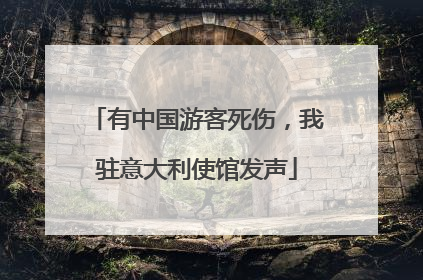 有中国游客死伤，我驻意大利使馆发声