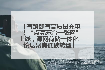 有路即有高质量充电！“点亮东台一张网”上线，源网荷储一体化论坛聚焦低碳转型