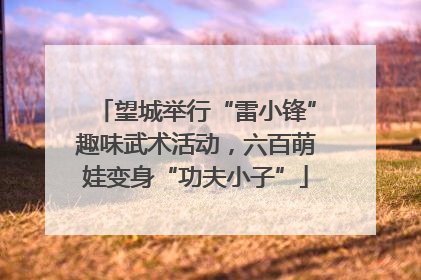 望城举行“雷小锋”趣味武术活动，六百萌娃变身“功夫小子”