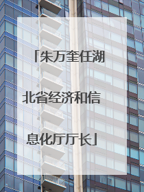 朱万奎任湖北省经济和信息化厅厅长
