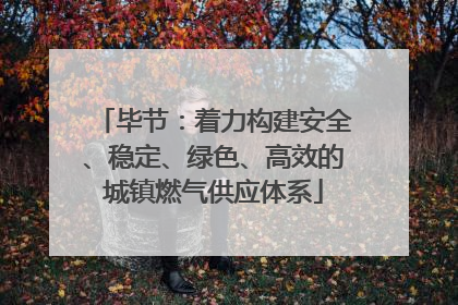 毕节：着力构建安全、稳定、绿色、高效的城镇燃气供应体系