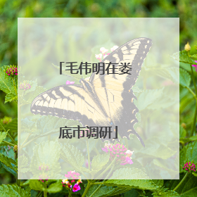 毛伟明在娄底市调研