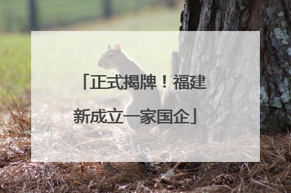 正式揭牌！福建新成立一家国企