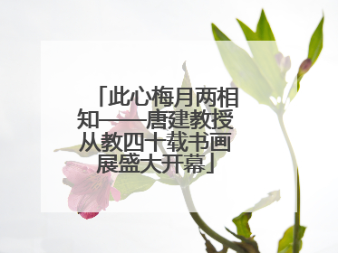 此心梅月两相知——唐建教授从教四十载书画展盛大开幕