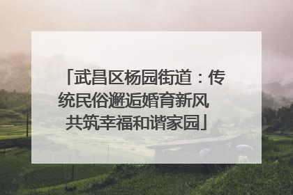 武昌区杨园街道:传统民俗邂逅婚育新风 共筑幸福和谐家园