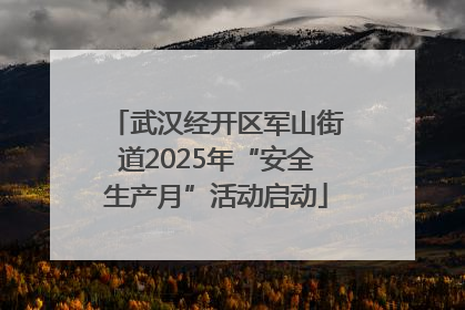 武汉经开区军山街道2025年“安全生产月”活动启动