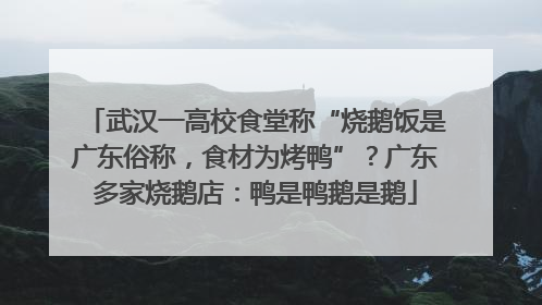 武汉一高校食堂称“烧鹅饭是广东俗称，食材为烤鸭”？广东多家烧鹅店：鸭是鸭鹅是鹅