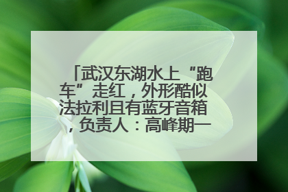 武汉东湖水上“跑车”走红，外形酷似法拉利且有蓝牙音箱，负责人：高峰期一两百人排队