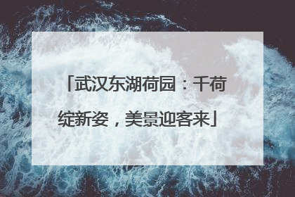 武汉东湖荷园：千荷绽新姿，美景迎客来