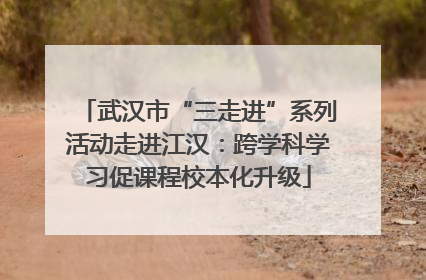 武汉市“三走进”系列活动走进江汉：跨学科学习促课程校本化升级