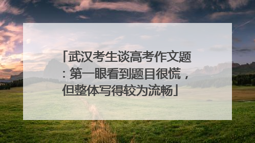 武汉考生谈高考作文题：第一眼看到题目很慌，但整体写得较为流畅
