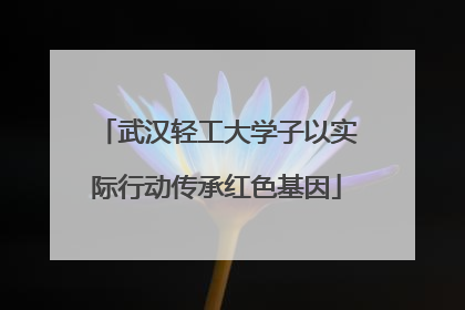 武汉轻工大学子以实际行动传承红色基因