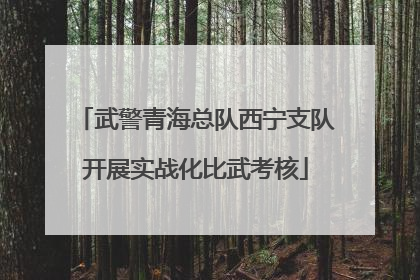 武警青海总队西宁支队开展实战化比武考核