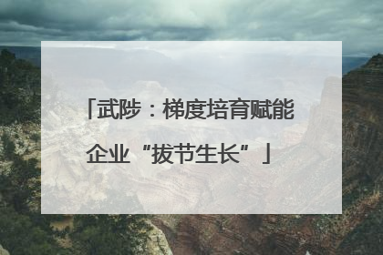 武陟：梯度培育赋能企业“拔节生长”
