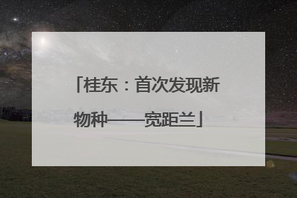 桂东：首次发现新物种——宽距兰