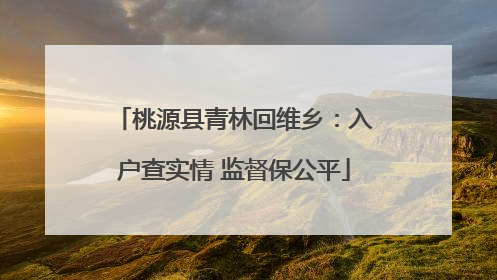 桃源县青林回维乡：入户查实情 监督保公平