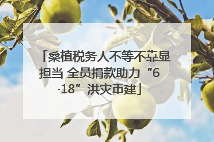 桑植税务人不等不靠显担当 全员捐款助力“6·18”洪灾重建