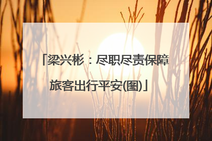 梁兴彬：尽职尽责保障旅客出行平安(图)