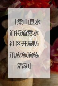 梁山县水泊街道秀水社区开展防汛应急演练活动