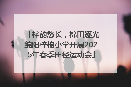 梓韵悠长，棉田逐光 绵阳梓棉小学开展2025年春季田径运动会