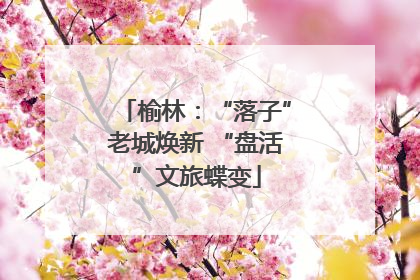 榆林：“落子”老城焕新 “盘活”文旅蝶变