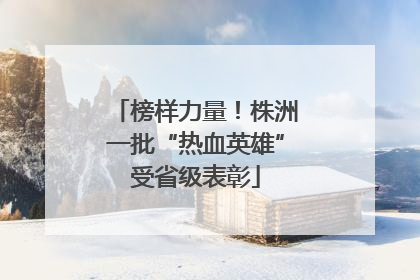 榜样力量！株洲一批“热血英雄”受省级表彰