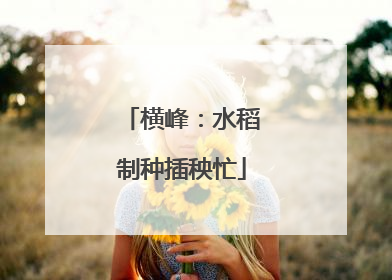 横峰：水稻制种插秧忙
