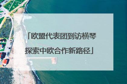 欧盟代表团到访横琴 探索中欧合作新路径