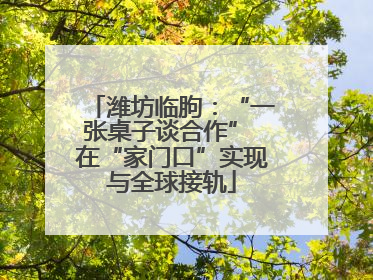 潍坊临朐：“一张桌子谈合作” 在“家门口”实现与全球接轨