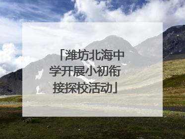 潍坊北海中学开展小初衔接探校活动