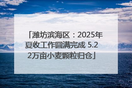 潍坊滨海区：2025年夏收工作圆满完成 5.22万亩小麦颗粒归仓