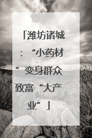 潍坊诸城：“小药材”变身群众致富“大产业”