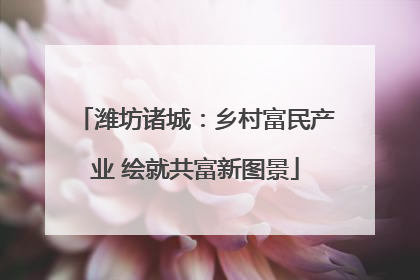 潍坊诸城：乡村富民产业 绘就共富新图景
