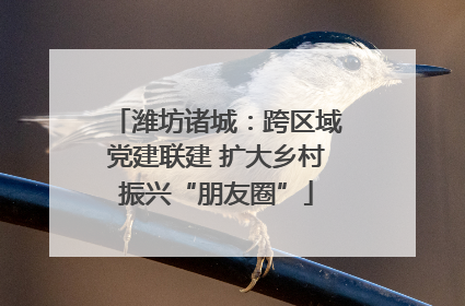 潍坊诸城：跨区域党建联建 扩大乡村振兴“朋友圈”