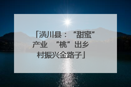 潢川县：“甜蜜”产业  “桃”出乡村振兴金路子